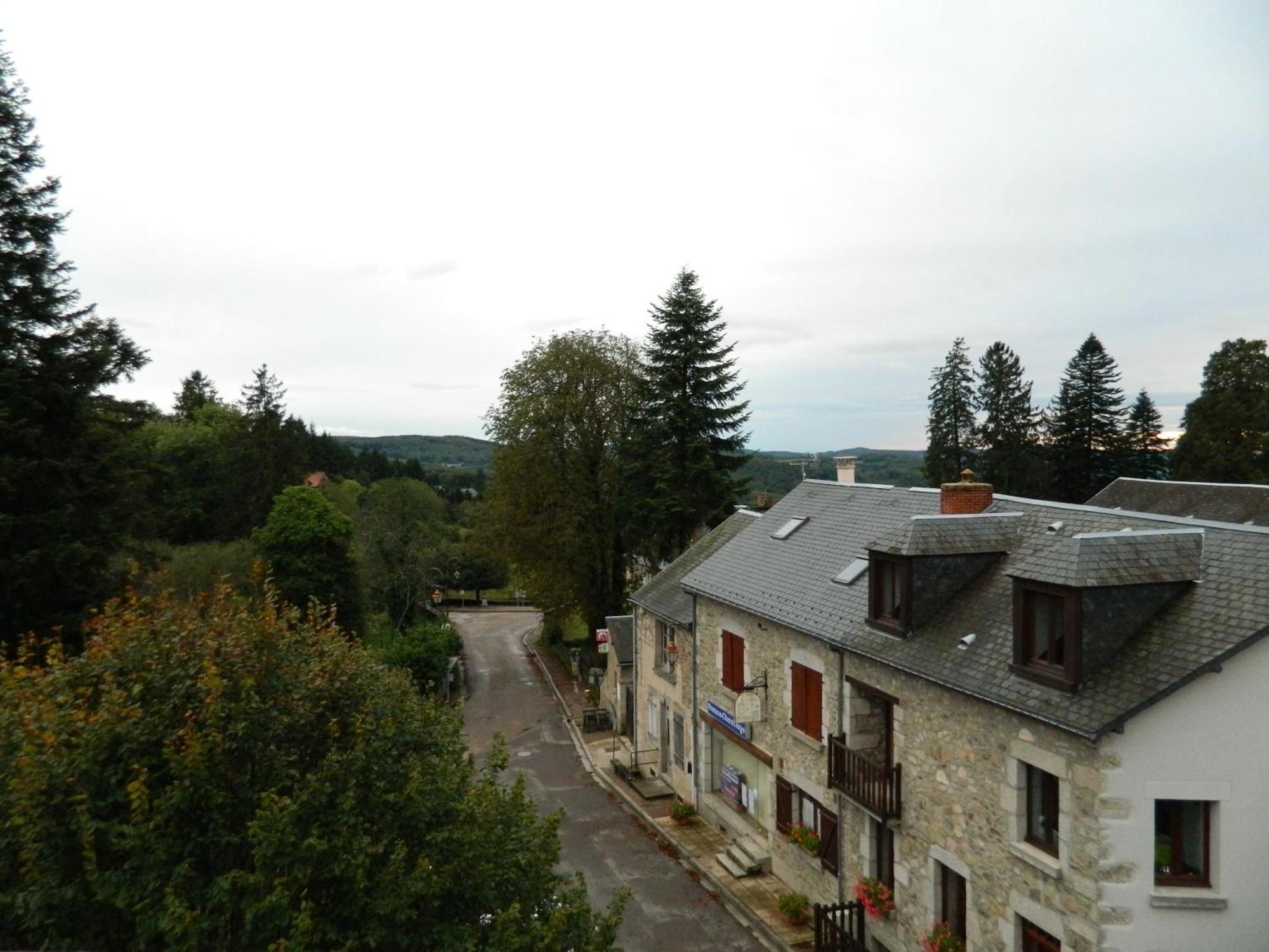 Hotel Le Lion D'Or Ouroux-en-Morvan Exterior foto