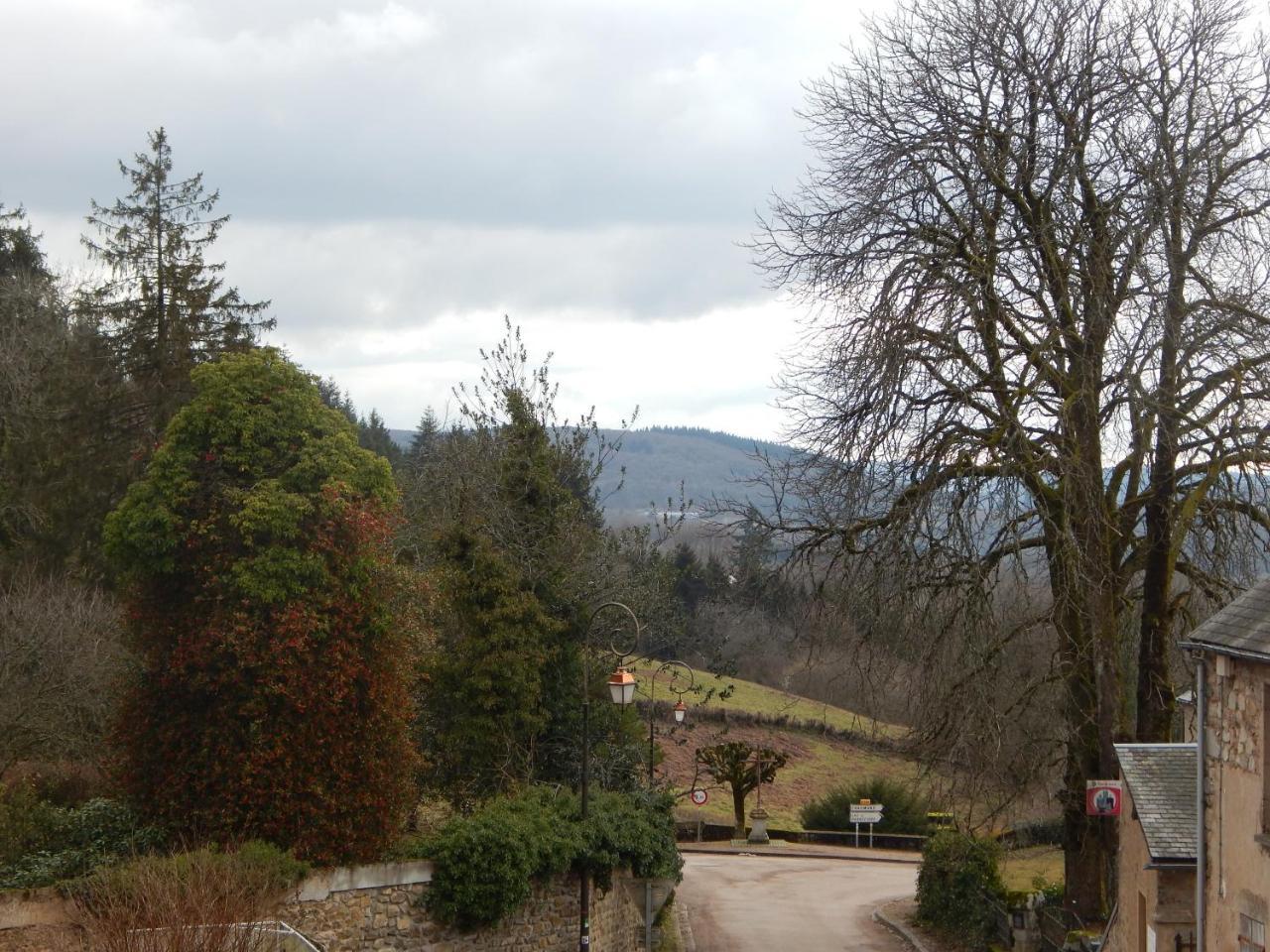 Hotel Le Lion D'Or Ouroux-en-Morvan Exterior foto